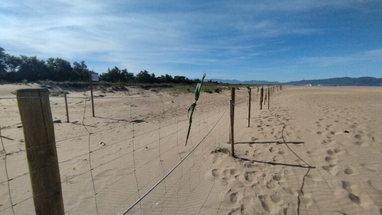 TANCA3